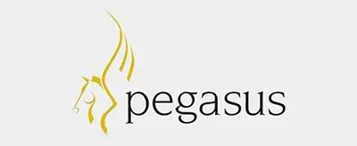 pegasus logo